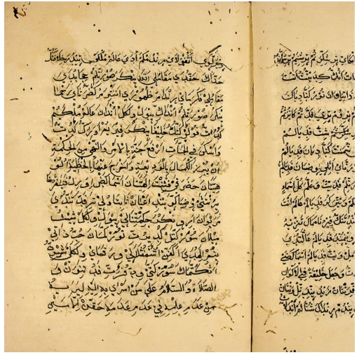 Arwi Tamil which is written in the Arabic script